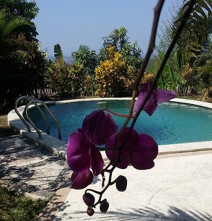 Negara  West Bali Villas-Umasari Resort מראה חיצוני תמונה