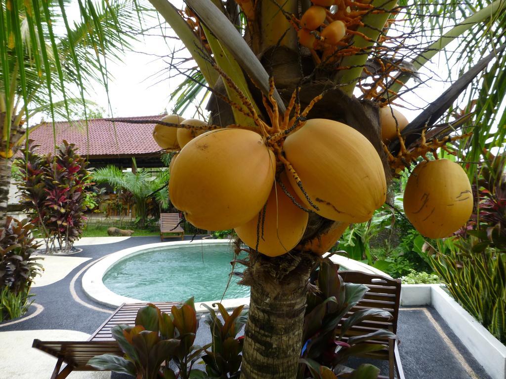 Negara  West Bali Villas-Umasari Resort חדר תמונה
