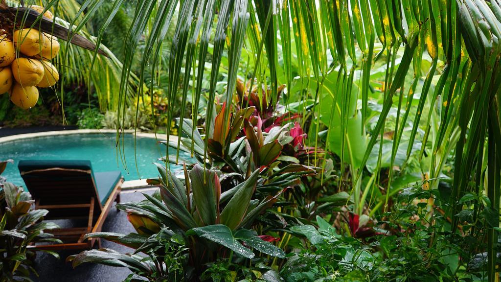 Negara  West Bali Villas-Umasari Resort מראה חיצוני תמונה