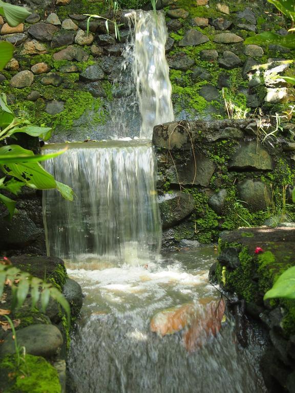 Negara  West Bali Villas-Umasari Resort מראה חיצוני תמונה