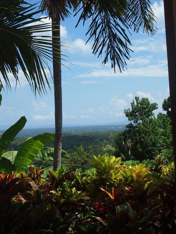 Negara  West Bali Villas-Umasari Resort מראה חיצוני תמונה