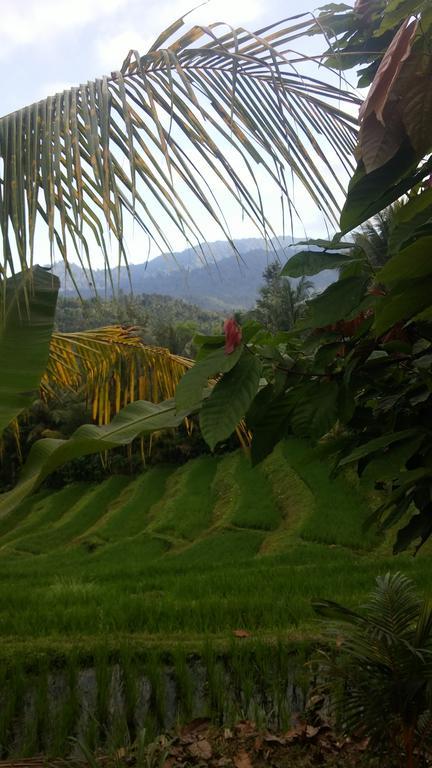 Negara  West Bali Villas-Umasari Resort מראה חיצוני תמונה
