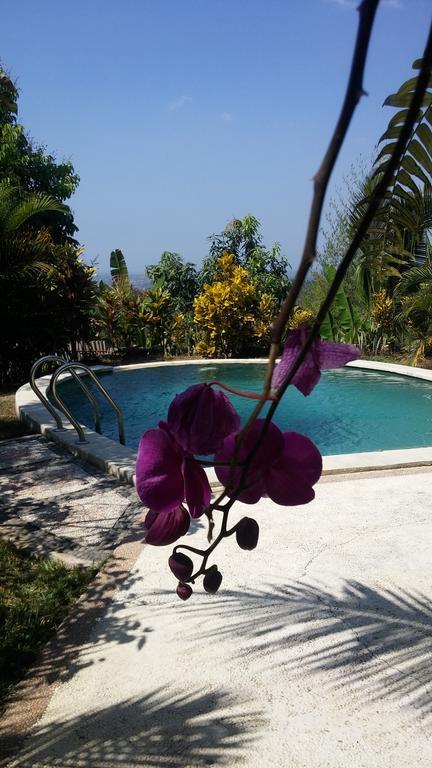 Negara  West Bali Villas-Umasari Resort מראה חיצוני תמונה