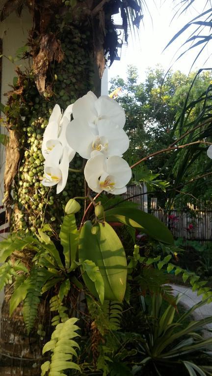 Negara  West Bali Villas-Umasari Resort מראה חיצוני תמונה